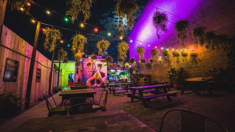 Cincinnati Speakeasies